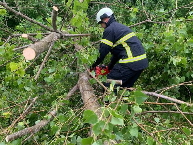 У Чернівцях через сильний вітер дерево впало на дорогу