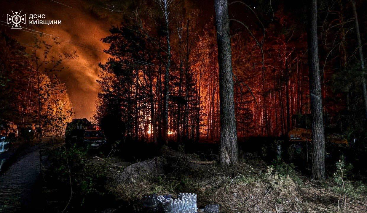 У Чорнобильській зоні відчуження ліквідували масштабну лісову пожежу