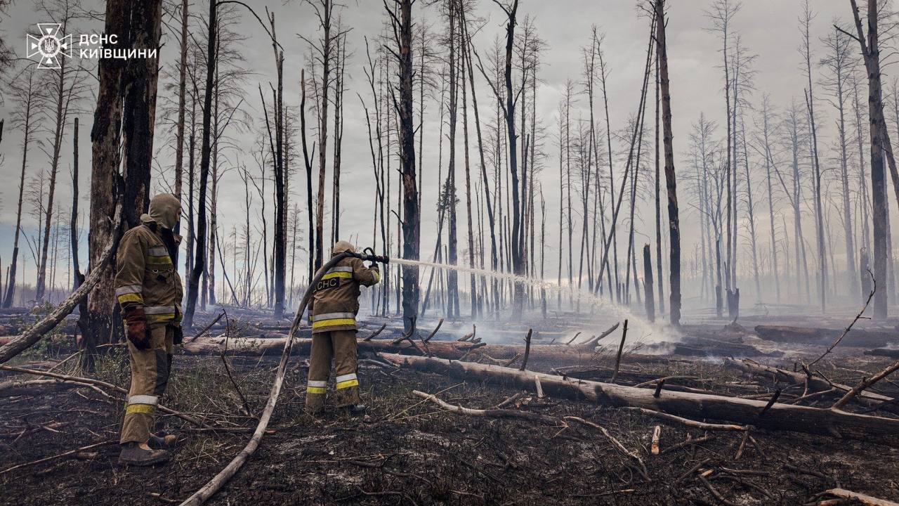 У Чорнобильській зоні відчуження після обстрілу знову горить ліс