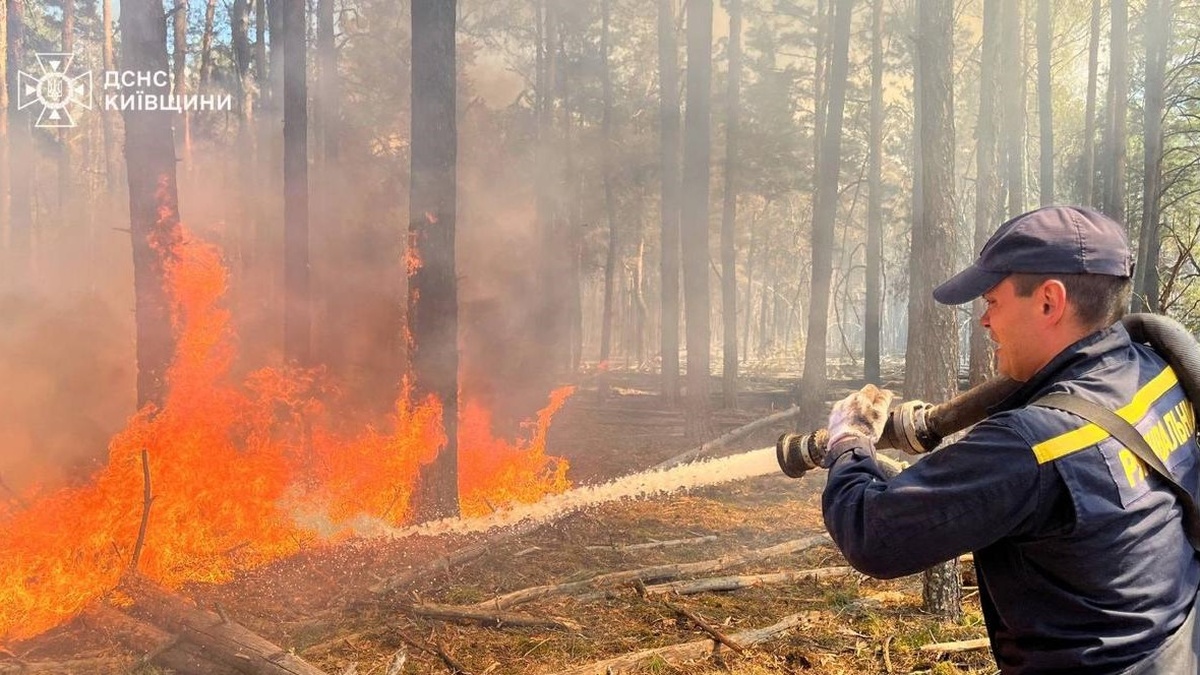 У Чорнобильській зоні триває ліквідація масштабної лісової пожежі