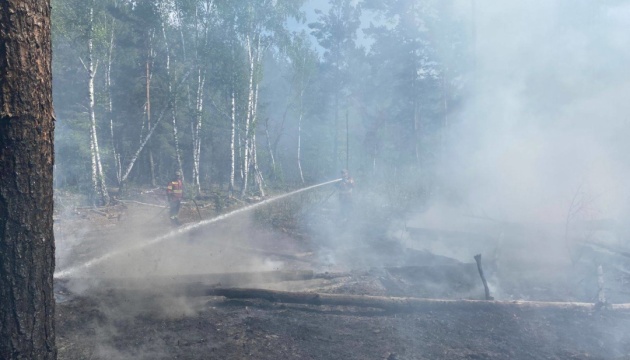 У Чорнобильській зоні через збиття російських безпілотників виникли нові вогнища …