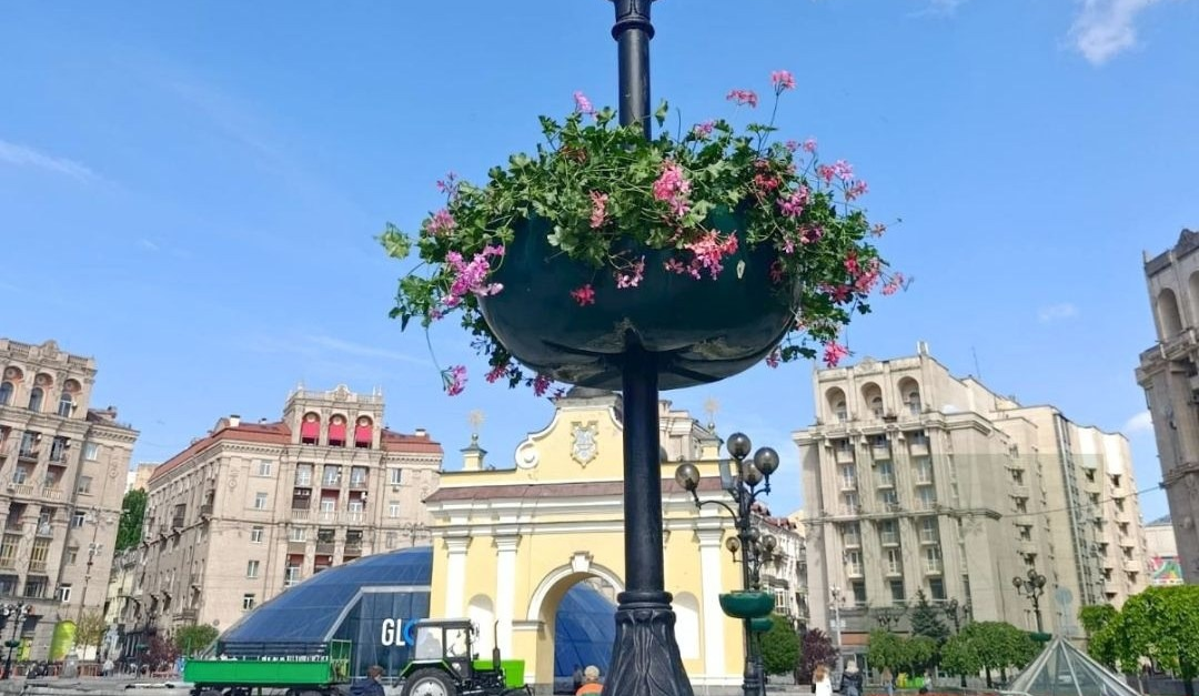 У Шевченківському районі столиці висадили ампельні квіти: фото