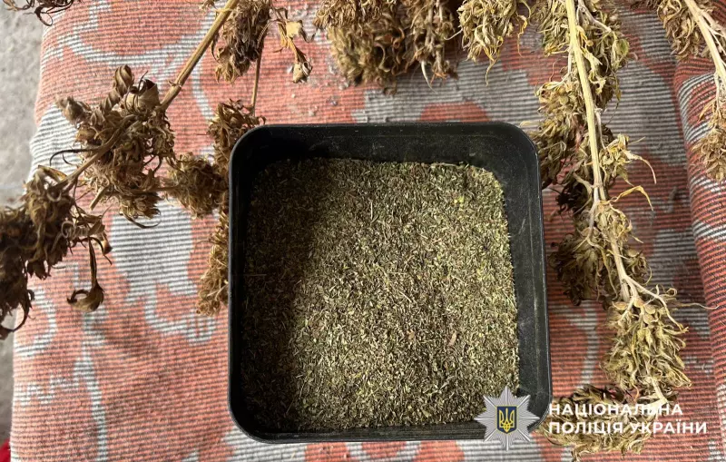 У буковинця вдома поліція знайшла 2 кг канабісу і гранату