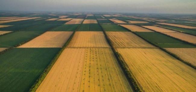 У громаді на Рівненщині з порушеннями здали в оренду понад …