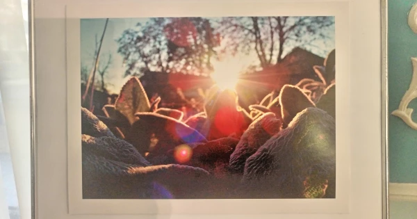 У драмтеатрі Миколаєва відкрилася фотовиставка херсонської артистки