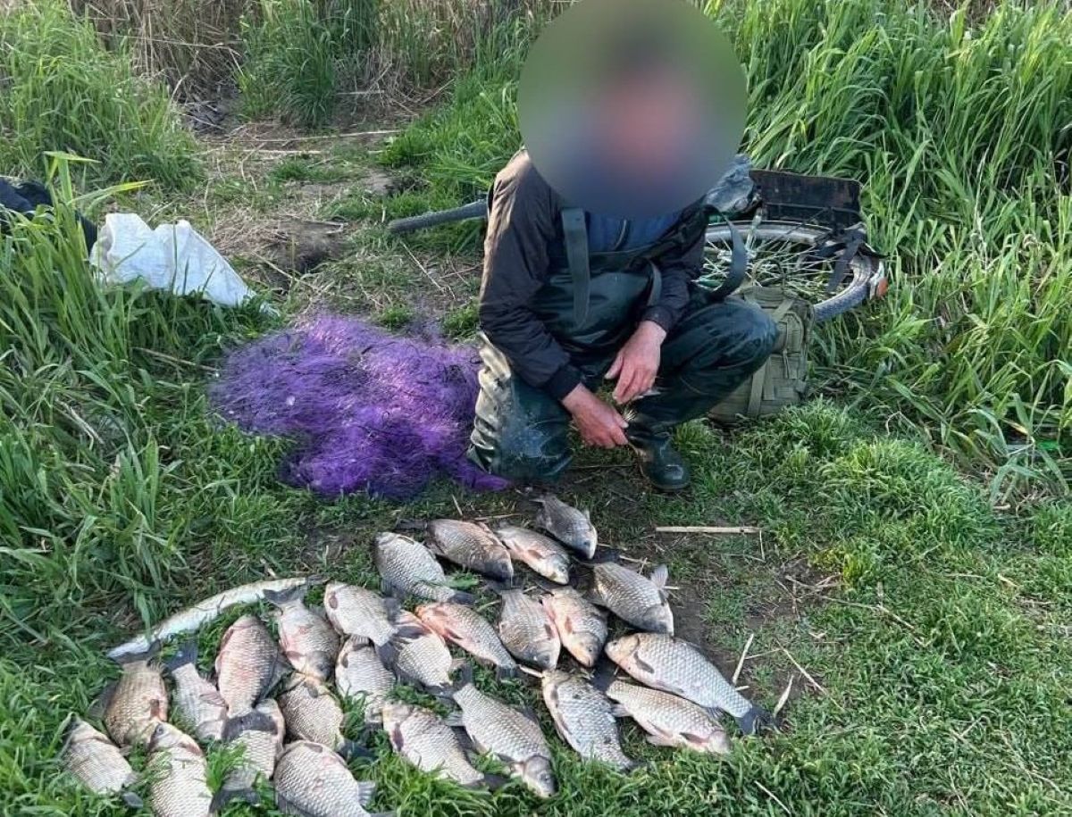 У заповідній зоні Херсонщини браконьєри наловили риби на понад 380 …