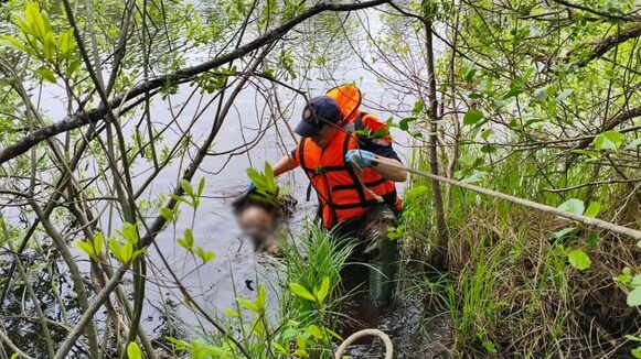 У затоці Дніпра неподалік Чернігова виявили тіло чоловіка
