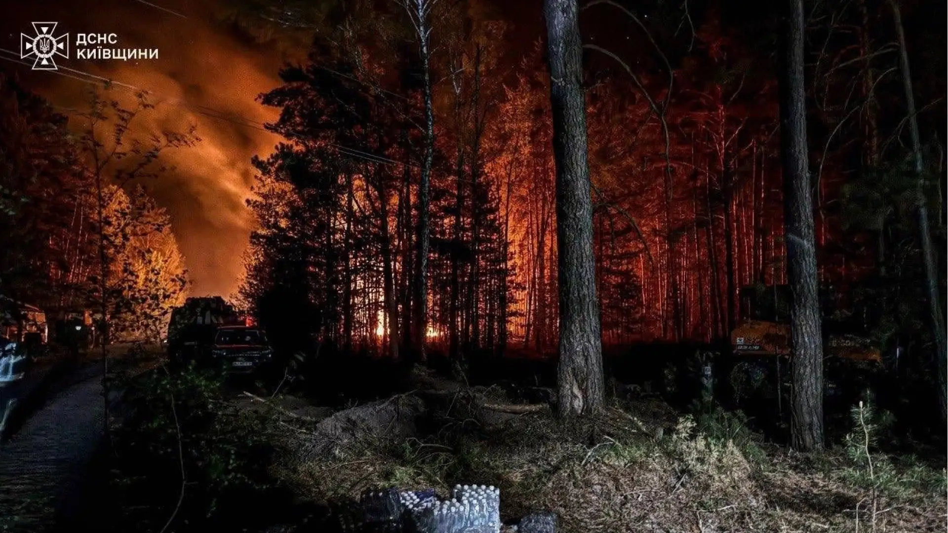 У зоні відчуження на Київщині триває масштабна пожежа
