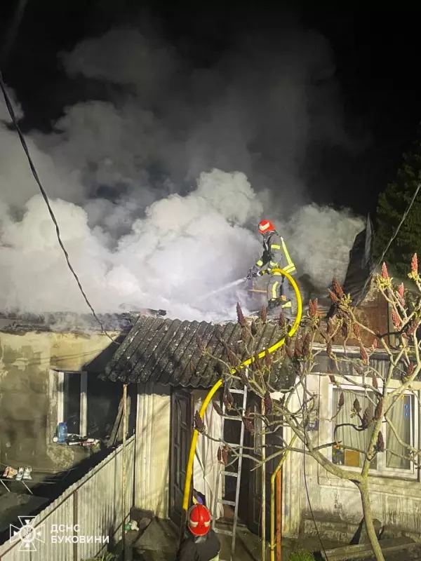 У містечку на Буковині горів житловий будинок: рятувальники розповіли подробиці