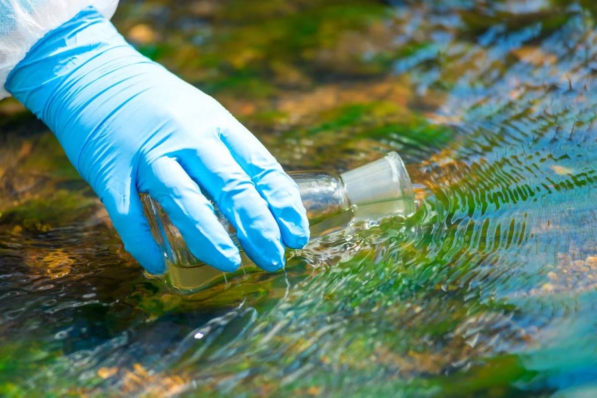 У найбільшому штучному водосховищі Євросоюзу знайшли паразита «свербіжу»