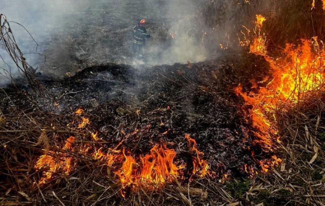 У неділю на Рівненщині вогонь знищив майже 30 га землі