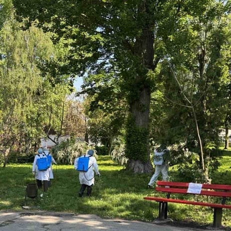 У парках Тернополя розпочинають масштабну хімічну обробку від кліщів