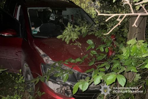 У поліцію дзвонила дитина: на Борщівщині п'яний водій заїхав в …