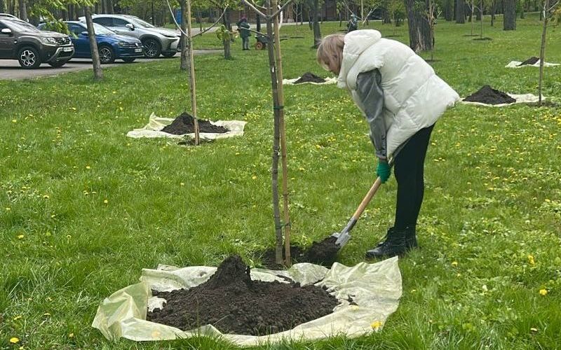 У столиці висадили 633 дерева та кущі