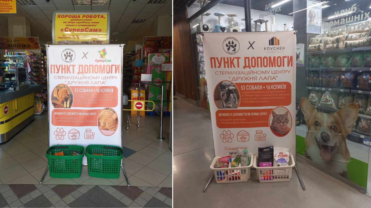 У супермаркетах Долини з’явилися спеціальні кошики для збору допомоги безпритульним …