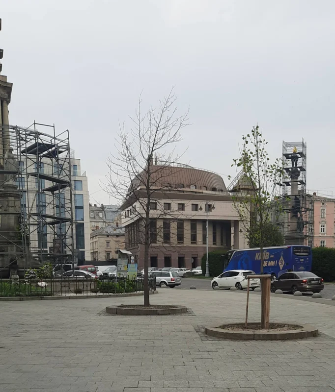 У центрі Львова масово висихають молоді дерева (ФОТО)