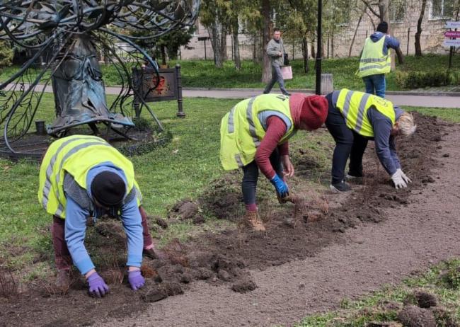 У центрі Рівного висадили квіти, а в парку - кущі