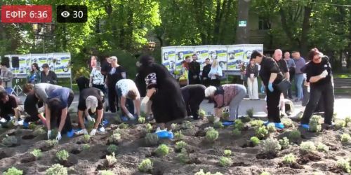 У центрі Тернополя матері загиблих воїнів висадили квіти (відео)