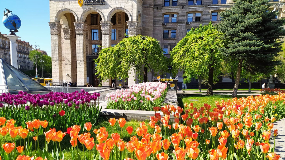 У 66% киян українська мова стала кращою за останні 4 …