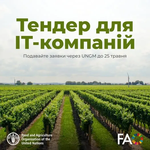 ФАО оголошує тендер на створення Виноградно-виноробничого реєстру