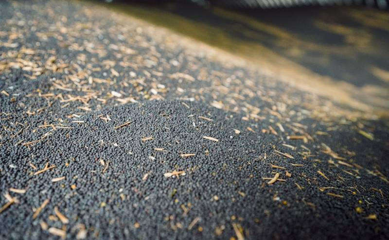 Ціни попиту на український ріпак на рівні 570–575 $/т і …