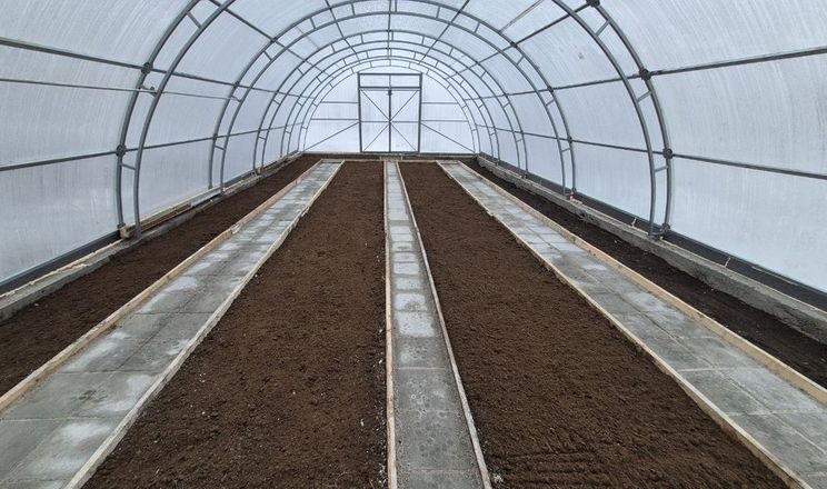 Фермери частіше обирають шеф-монтаж теплиць замість повного підряду