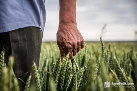 В Україні готують «ліквідацію» фермерства