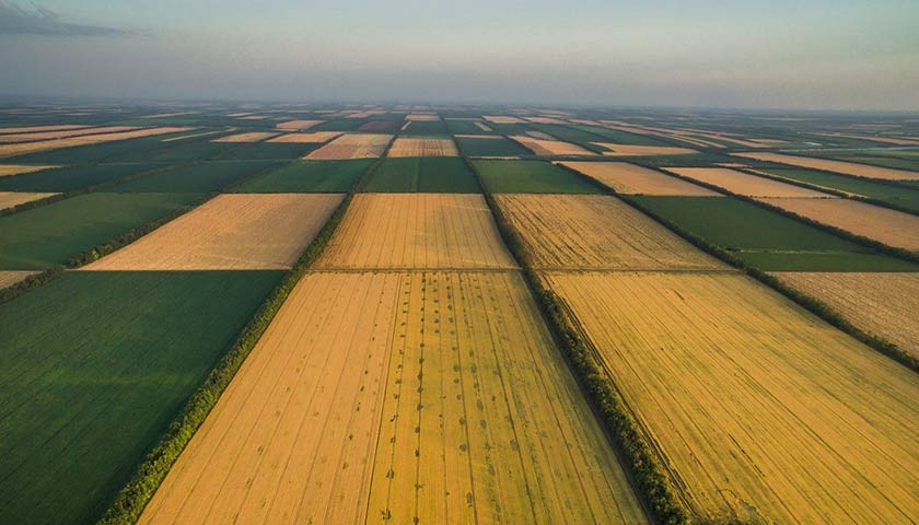 Фермерські землі: хто є законним користувачем після створення господарства