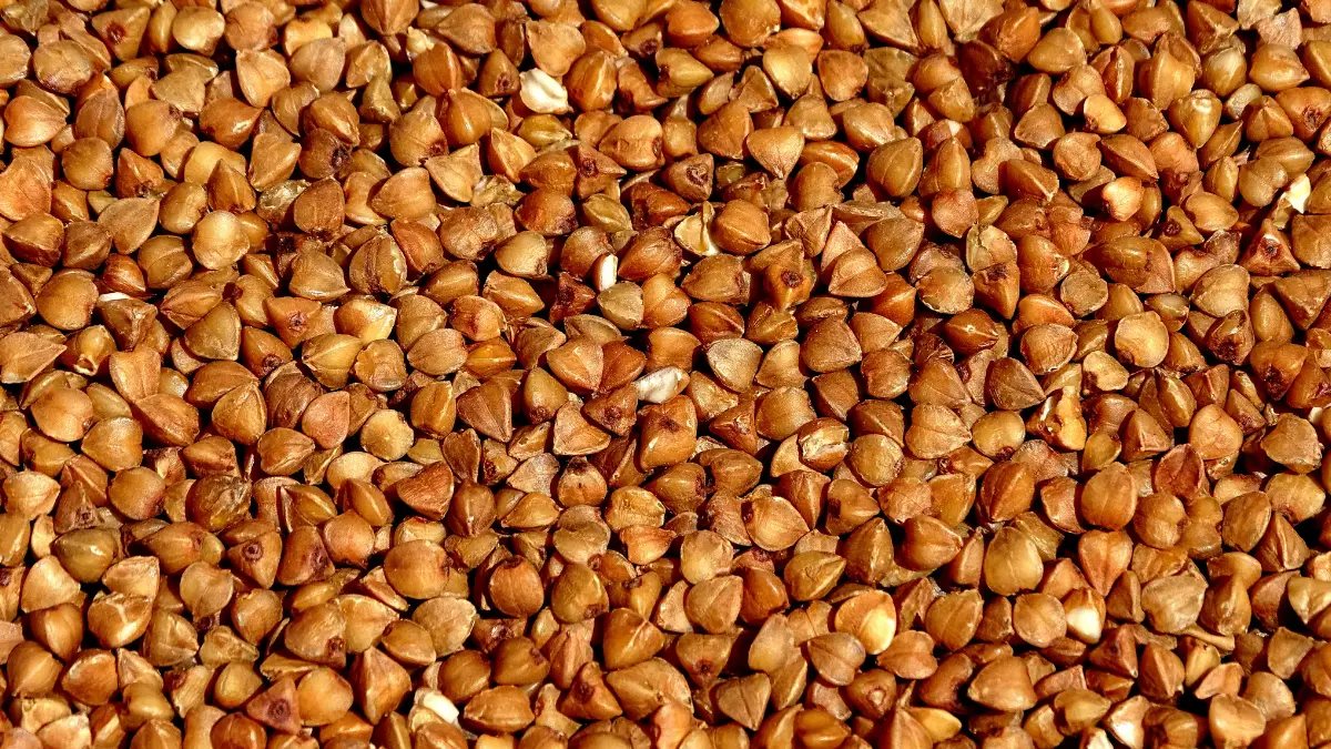 На понад 8 мільйонів Хмельницький закупить продуктові набори