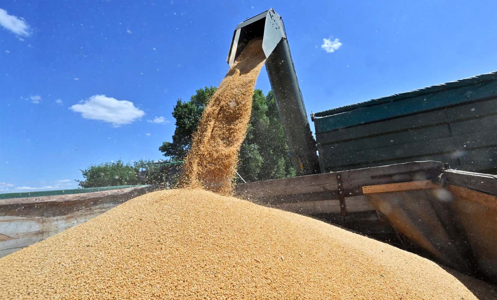 Ціна входу до ЄС: чому швидка інтеграція може дорого коштувати …