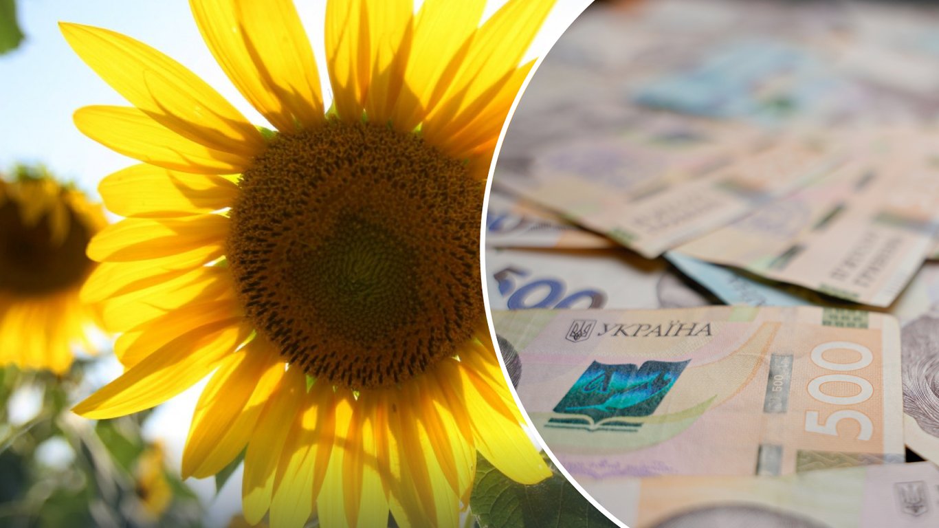 Ціни на соняшник знову оновилися: скільки тепер коштує тонна