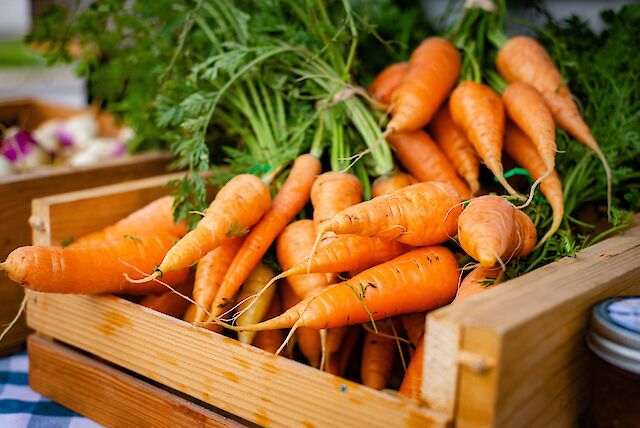 Які продукти в українських супермаркетах стали коштувати дешевше