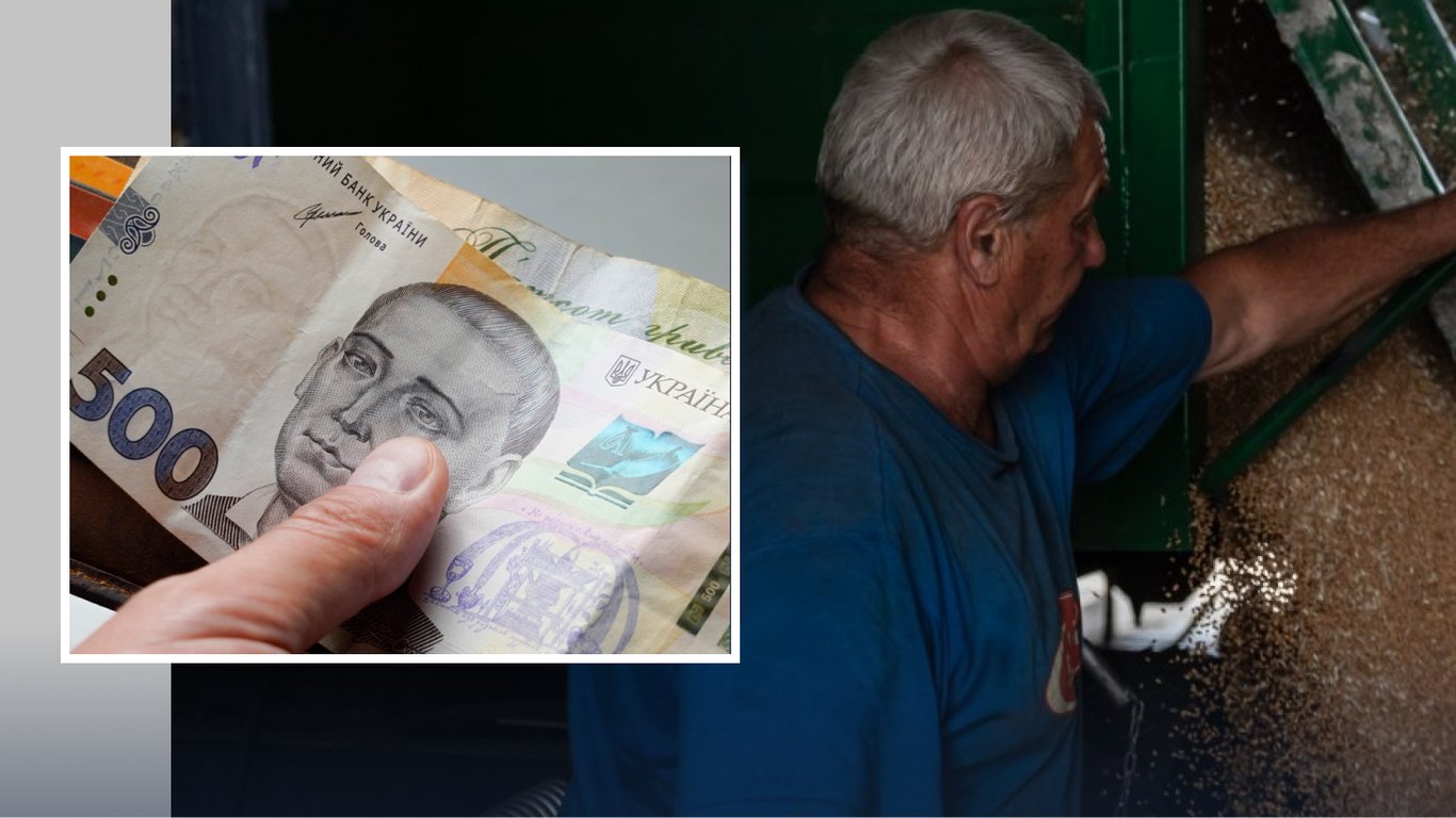 Ціни на зерно: чому пшениця різко подорожчала