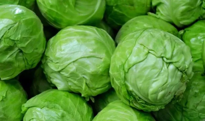 Ціни на редиску та капусту в Закарпатті впали через більший …