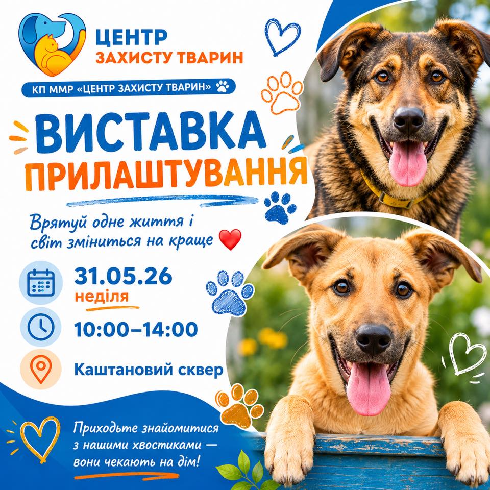 Цієї неділі в Миколаєві – чергова виставка-прилаштування безхатніх тварин (ФОТО)
