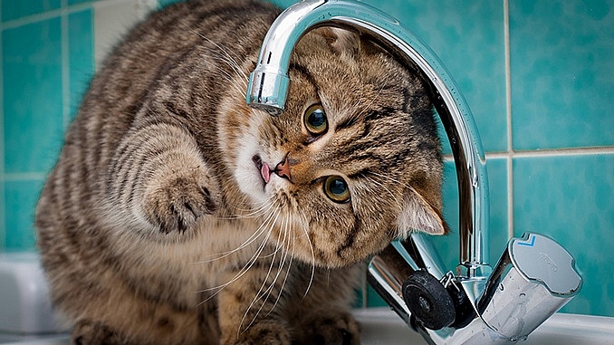 Частина НІХ у Миколаєві залишилася без води