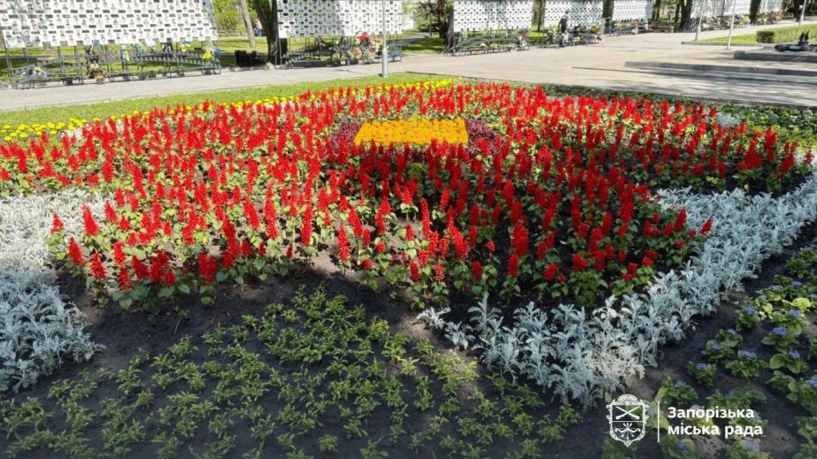 Мак на прапорі: в центрі Запоріжжя завершують тематичну композицію