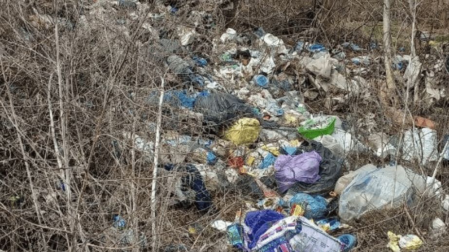Ще одну захаращену ділянку виявили в Запоріжжі – де саме