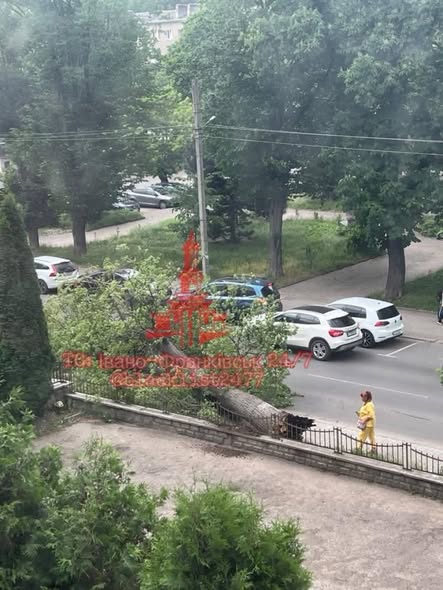 Через негоду в Івано-Франківську зафіксовано падіння дерев