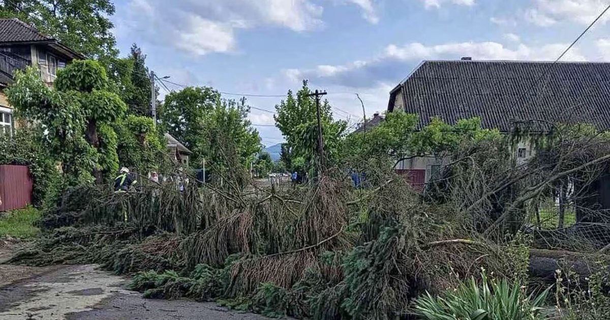 Через негоду 6 населених пунктів на Закарпатті залишилися без електроенергії