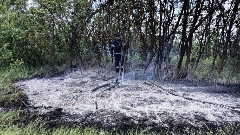 Сухостій палав у Запорізькому районі після ворожих атак