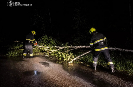 Через сильні пориви вітру рятувальники двічі прибирали з доріг Житомирської …