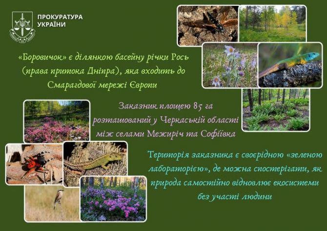 Через суд розглядають рішення створення природоохоронного заказника «Боровичок»