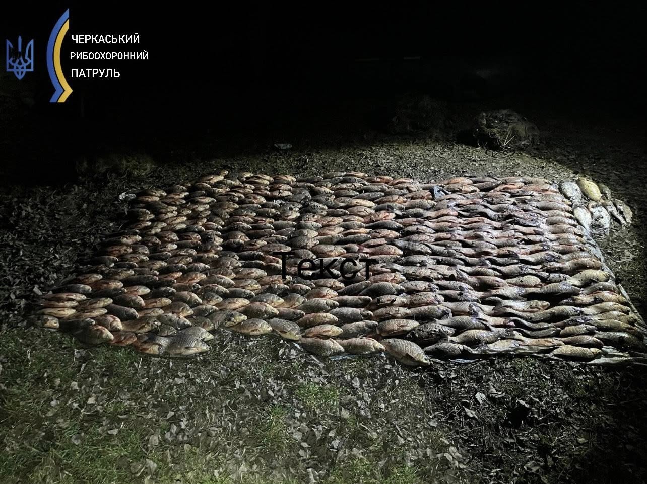 Черкащанка наловила риби на понад 365 тисяч гривень. Її зобов’язали виплатити суму та забрали човна