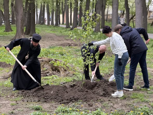 Чернівці долучилися до масштабної міжнародної акції «1 мільйон дерев пам’яті …