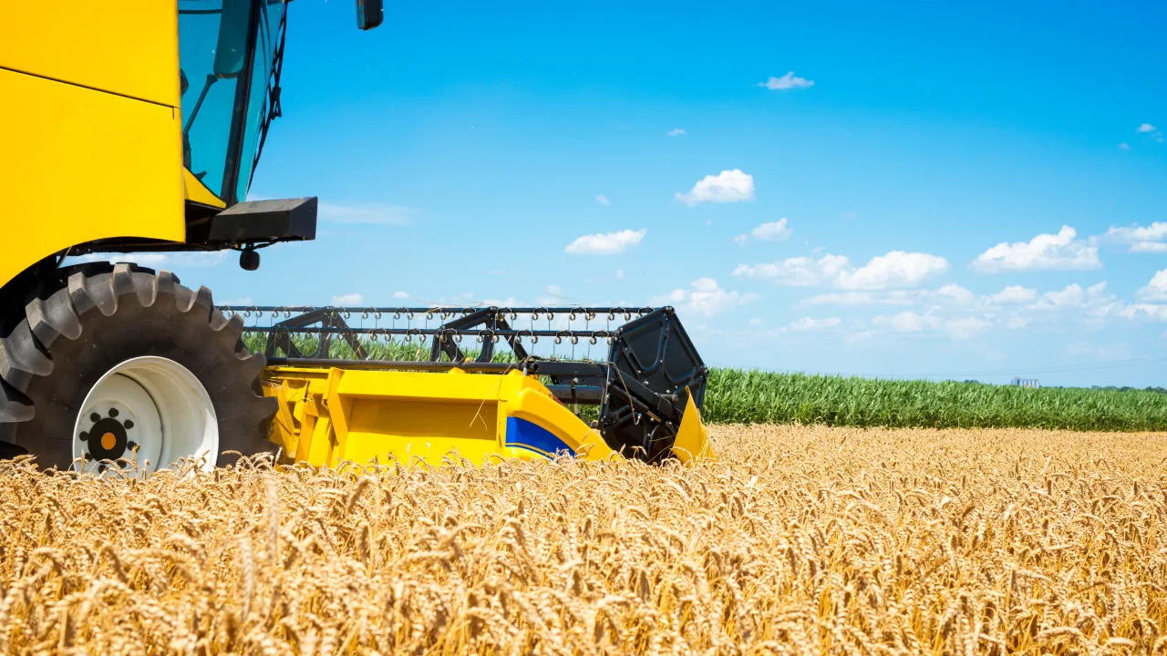 Чи вистачить Україні хліба: експерти дали прогноз врожаю на 2026 …