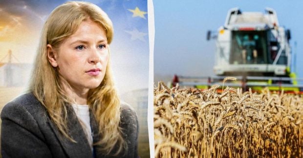 Чи зникнуть цілі галузі агросектору після вступу України до ЄС: …