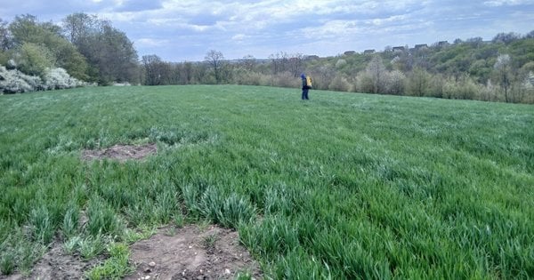 Чорні археологи руйнують поселення трипільської культури на Тернопільщині