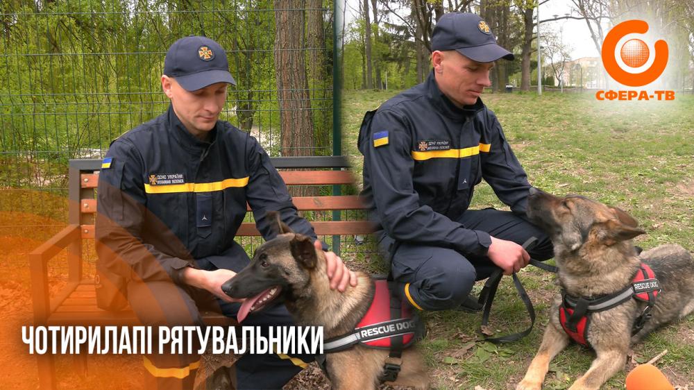 Чотирилапі напарники: як працюють собаки у кінологічному підрозділі ДСНС Рівненщини …