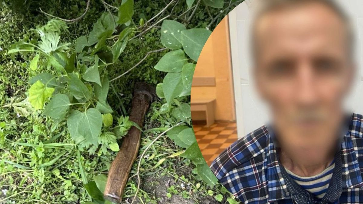 Чотири удари сокирою: на Київщині чоловік ледь не вбив сестру …